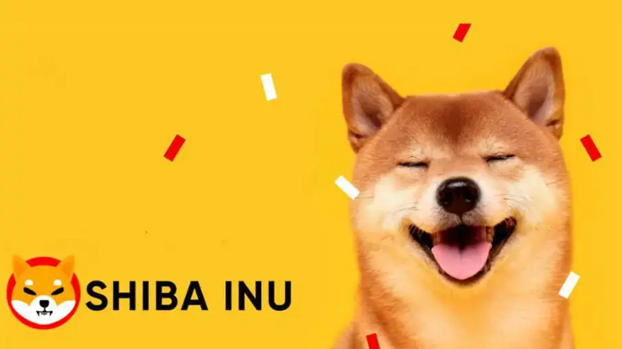 Akú hodnotu bude mať minca Shiba Inu?