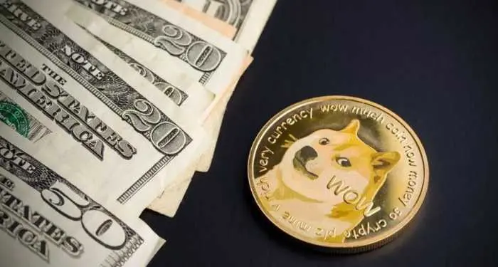 Môže zo mňa Dogecoin urobiť boháča?