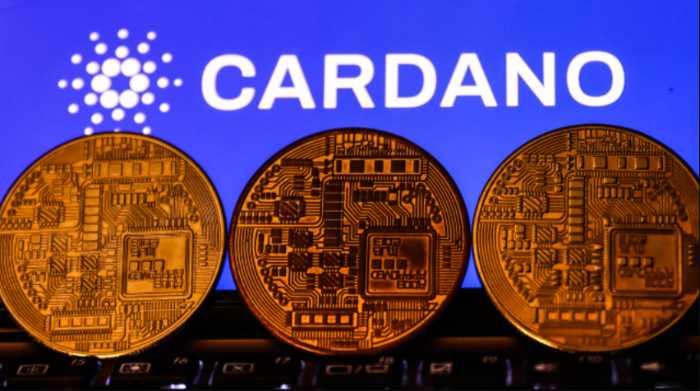Má Cardano budoucnost?