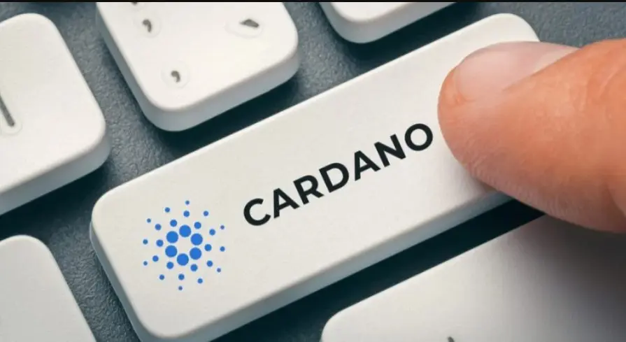 Koľko by ste mali investovať do Cardano?