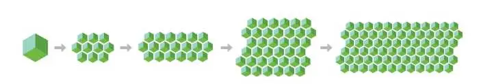 Je Cardano ďalším Ethereom?