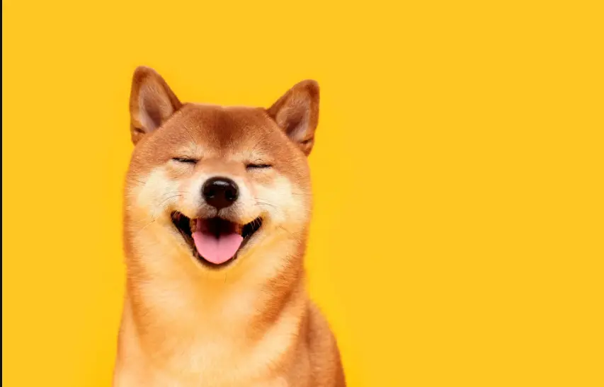 Aká populárna je kryptomena Dogecoin?