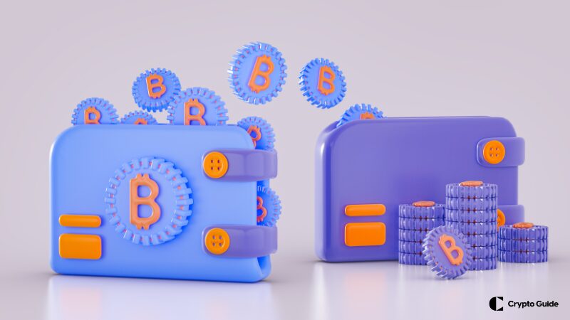 Ako si vybrať kryptografickú peňaženku?