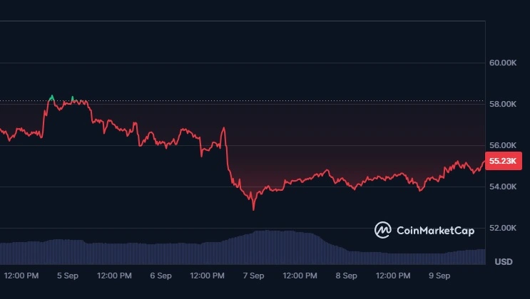 Hodnota bitcoinu klesla až na 52,850 USD