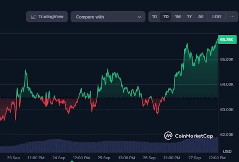 Vplyv ceny bitcoinu na prílev investícií