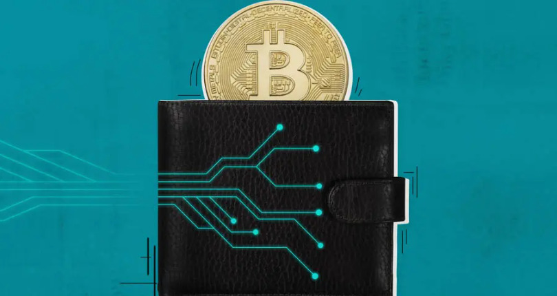Ktorá peňaženka na kryptomeny je lepšia?
