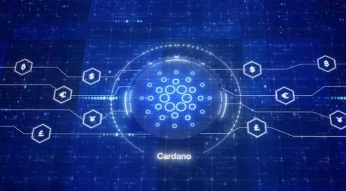 TOHLE je rozdíl mezi Cardano a Ethereum
