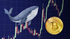 Veľryba viedol Bitcoin Surge Breaks $44K bariéra, Ďalšie zisky pred sebou?