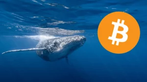 Starobylá veľryba Bitcoin sa po 12 rokoch posunula na 60 miliónov dolárov!