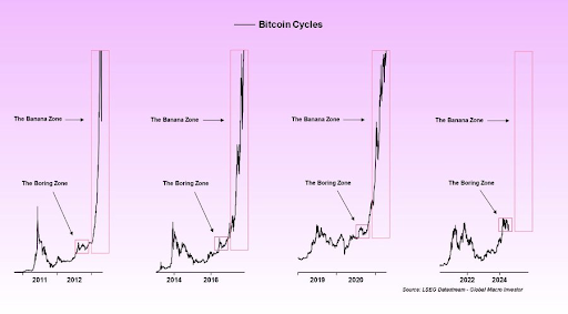 Graf cyklu Bitcoinu od roku 2011 do roku 2024
