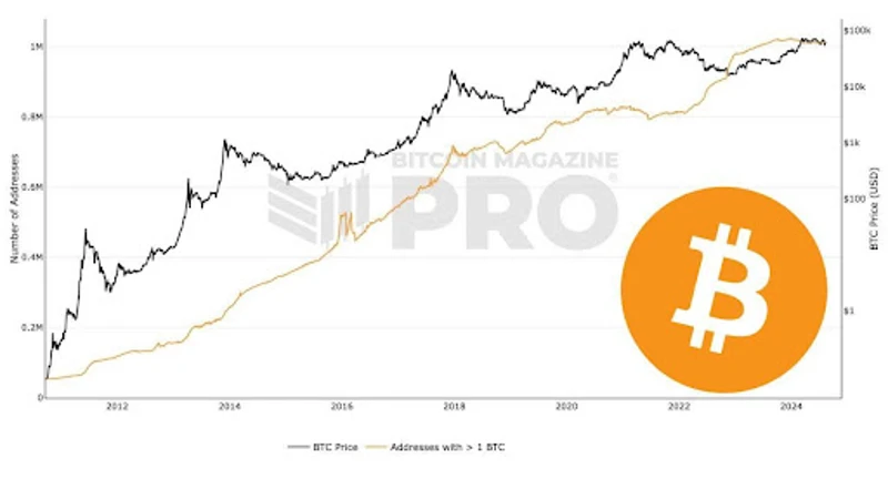 Graf zobrazujúci počet bitcoinových adries, ktoré vlastnia 1 BTC
